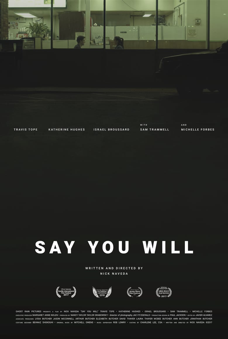 affiche du film Say You Will