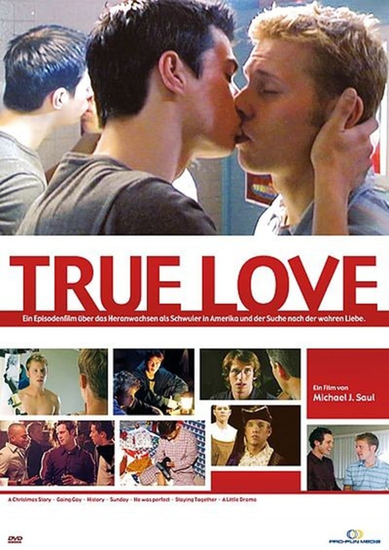 affiche du film True Love