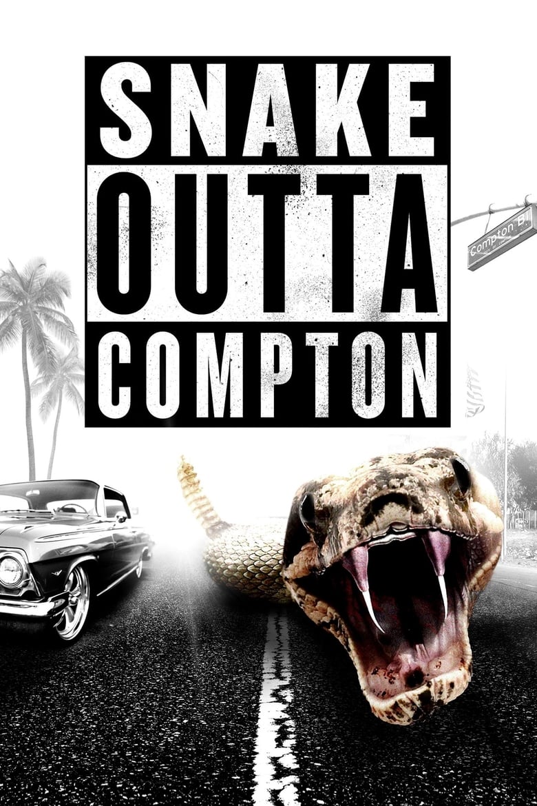 affiche du film Snake Outta Compton