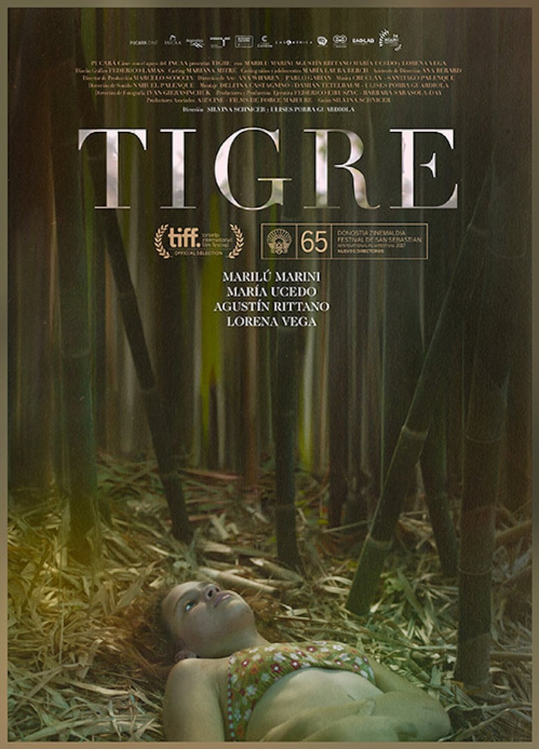 affiche du film Tigre