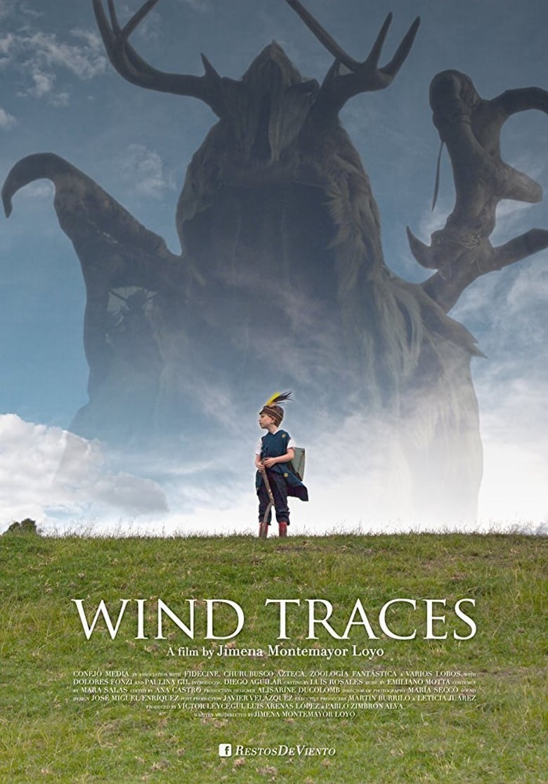 affiche du film Wind Traces