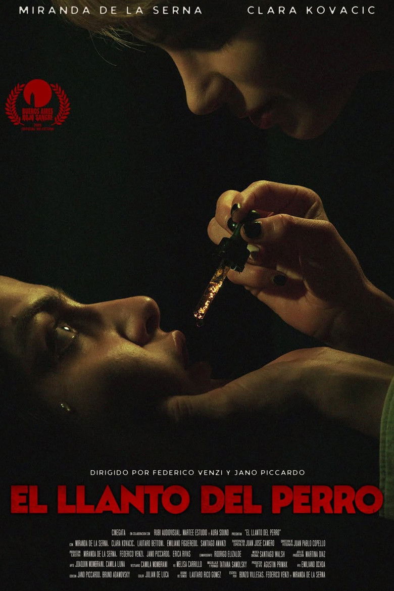 affiche du film El llanto del perro