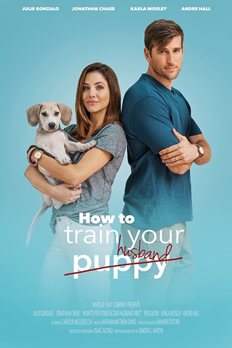 affiche du film How to Pick Your Second Husband First