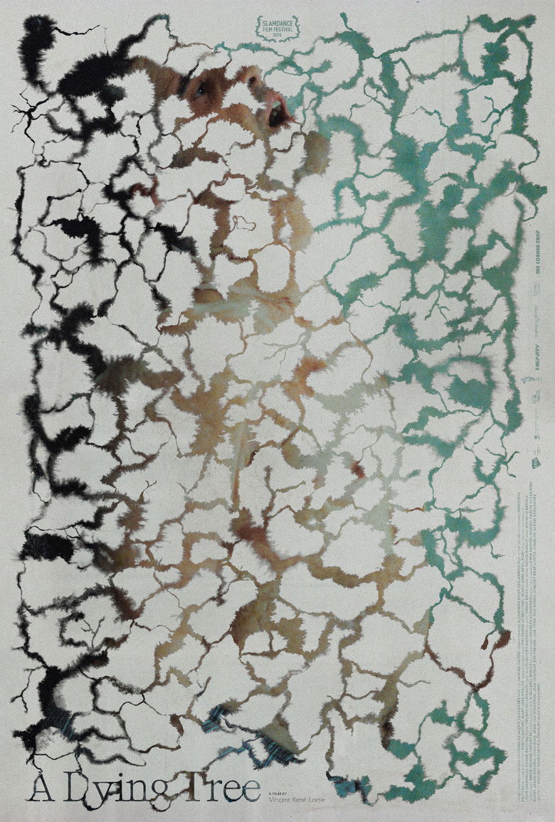affiche du film A Dying Tree
