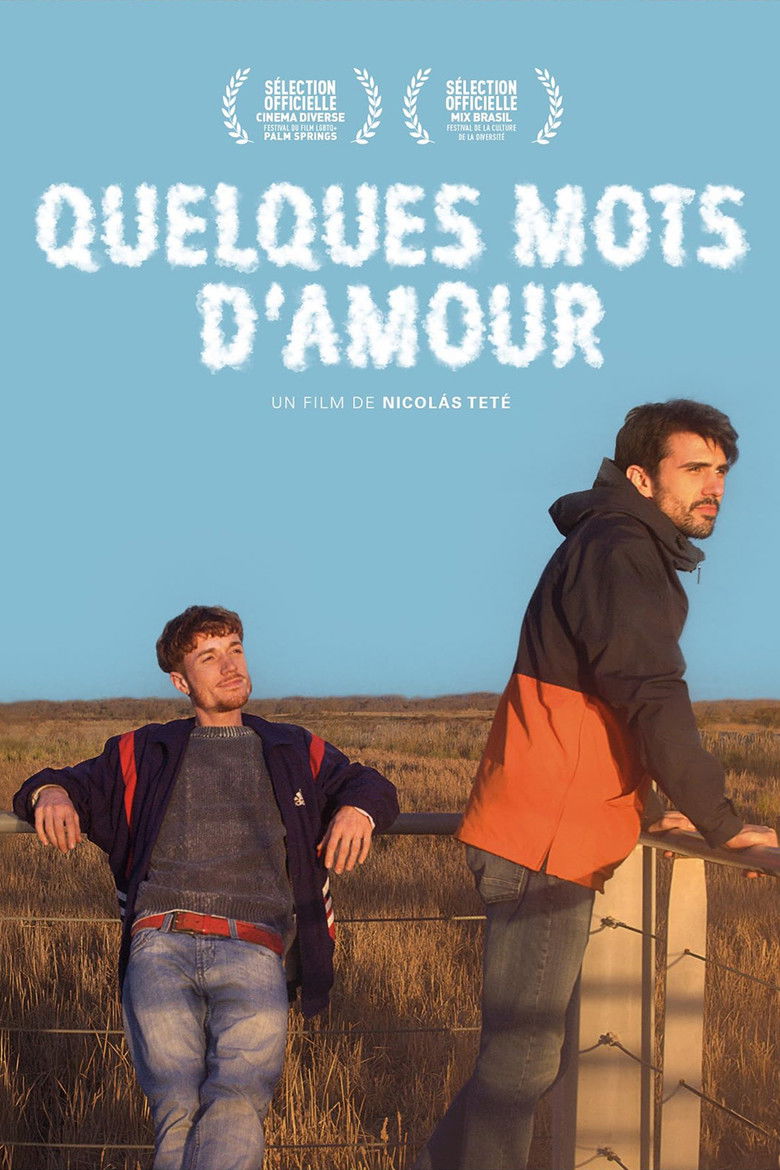 affiche du film Quelques mots d'amour
