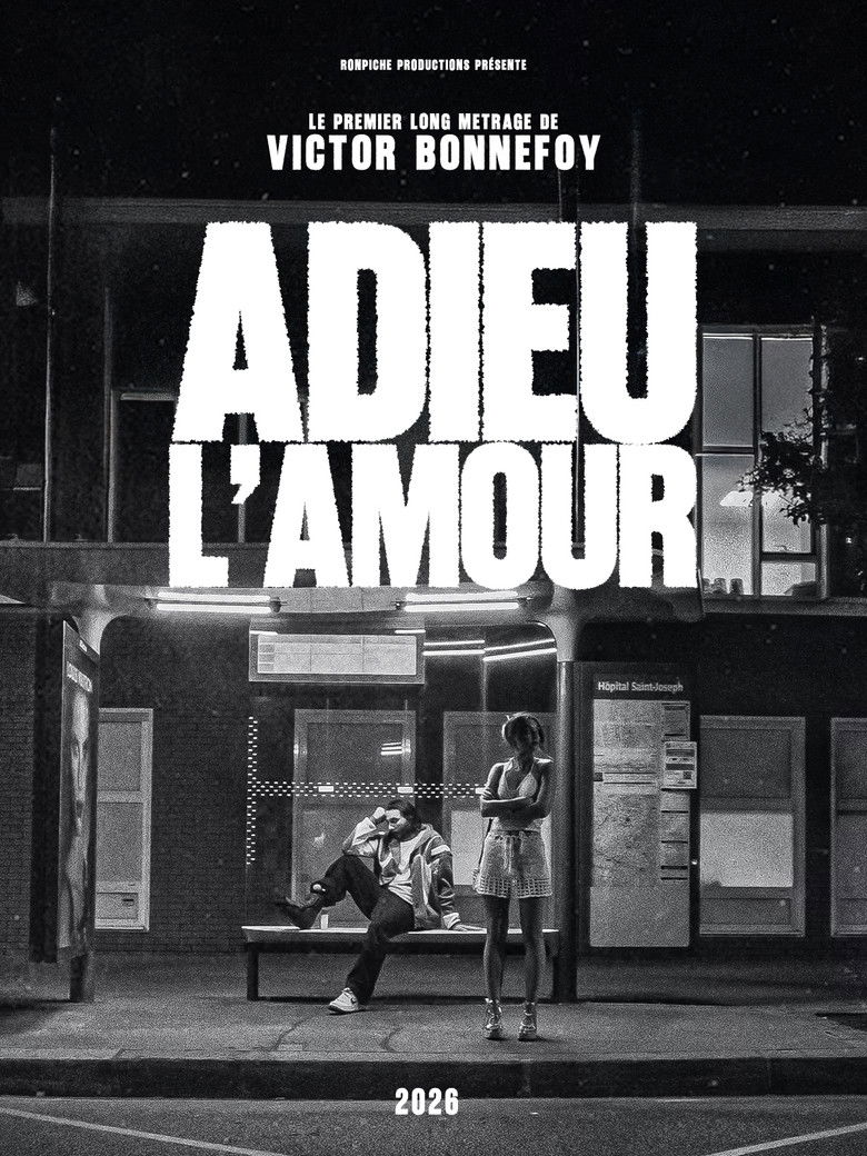 affiche du film Adieu L'Amour