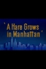 Un lapin à Manhattan (A Hare Grows in Manhattan)