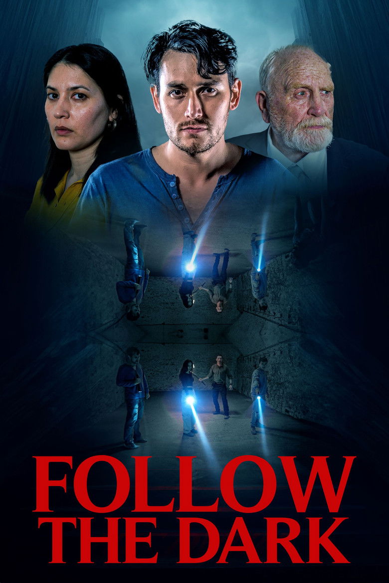 affiche du film Follow the Dark