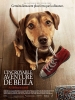 L'Incroyable aventure de Bella (A Dog's Way Home)