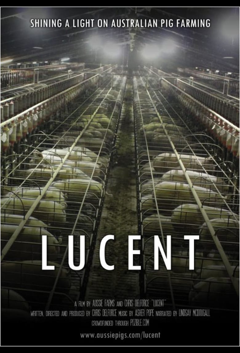 affiche du film Lucent