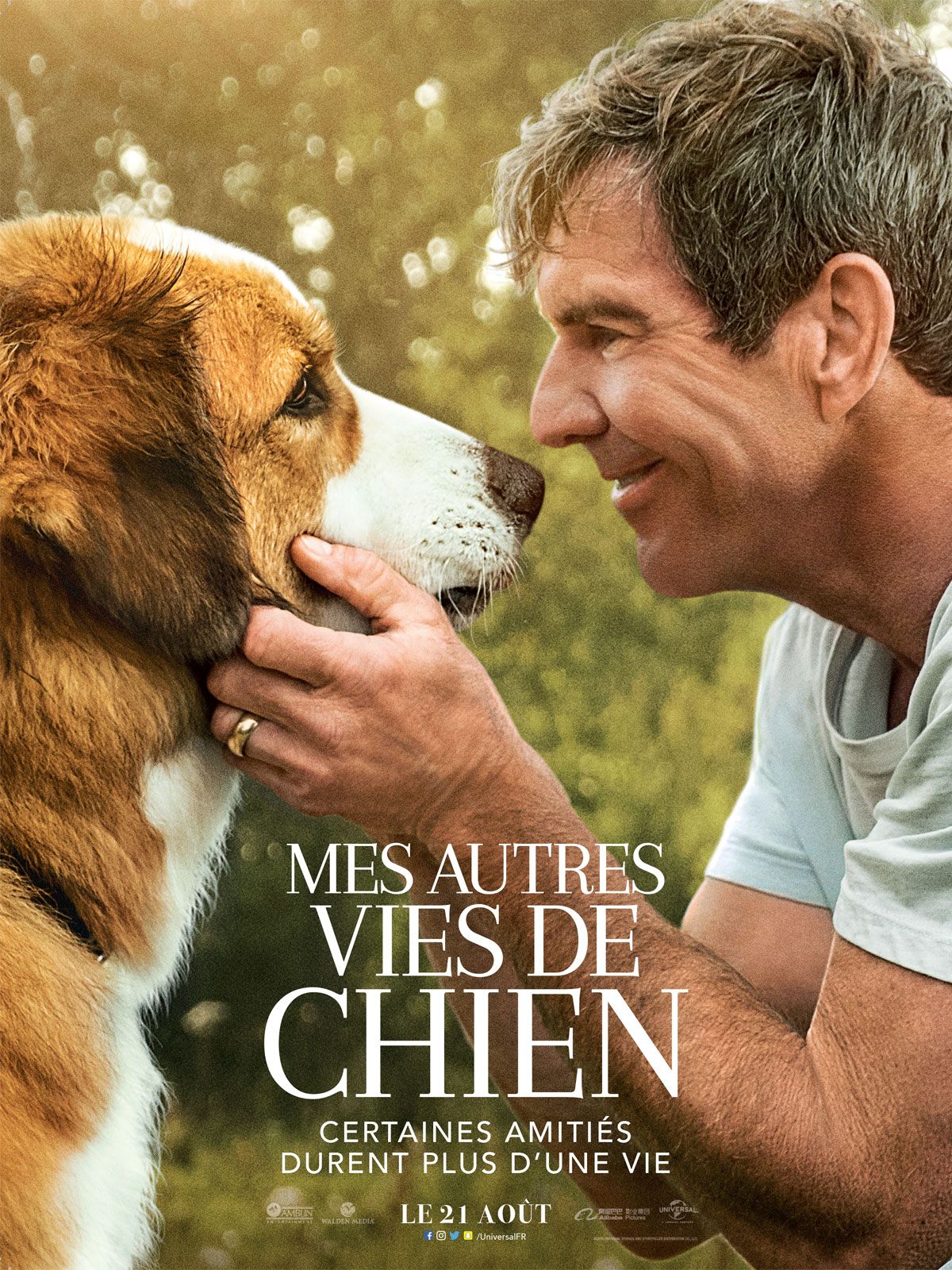 affiche du film Mes autres vies de chiens