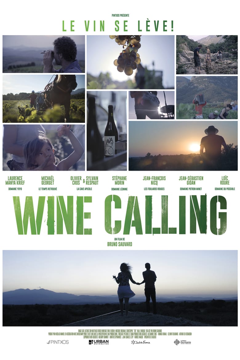 affiche du film Wine Calling