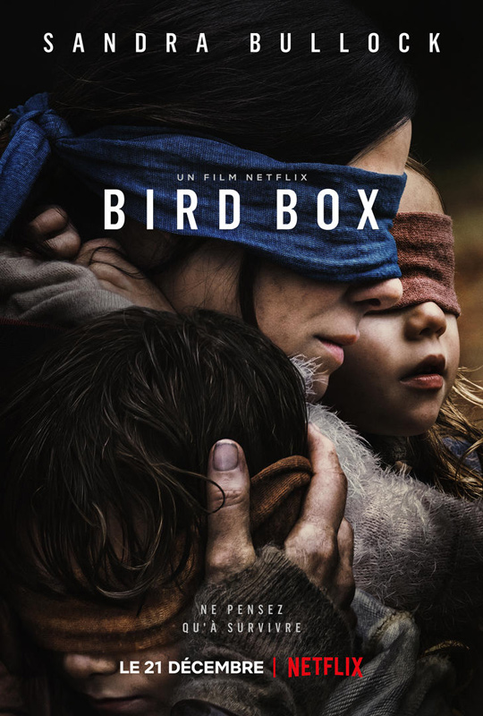 affiche du film Bird Box