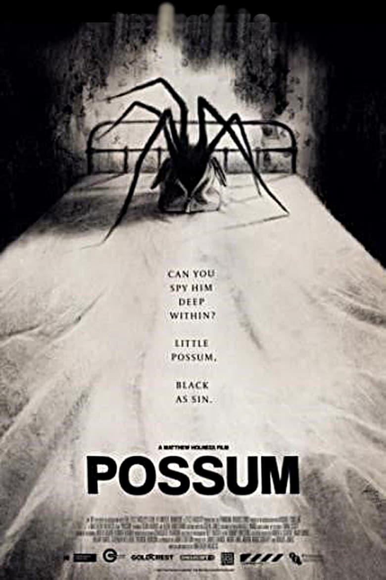 affiche du film Possum