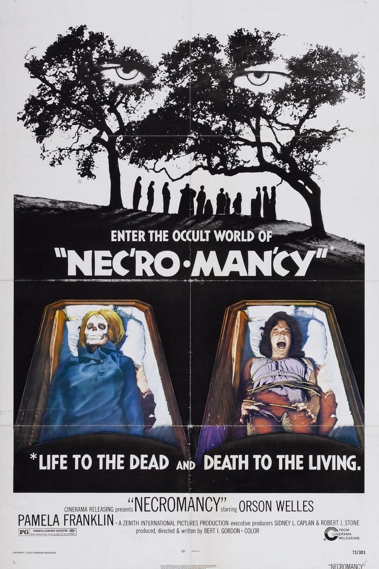 affiche du film Necromancy