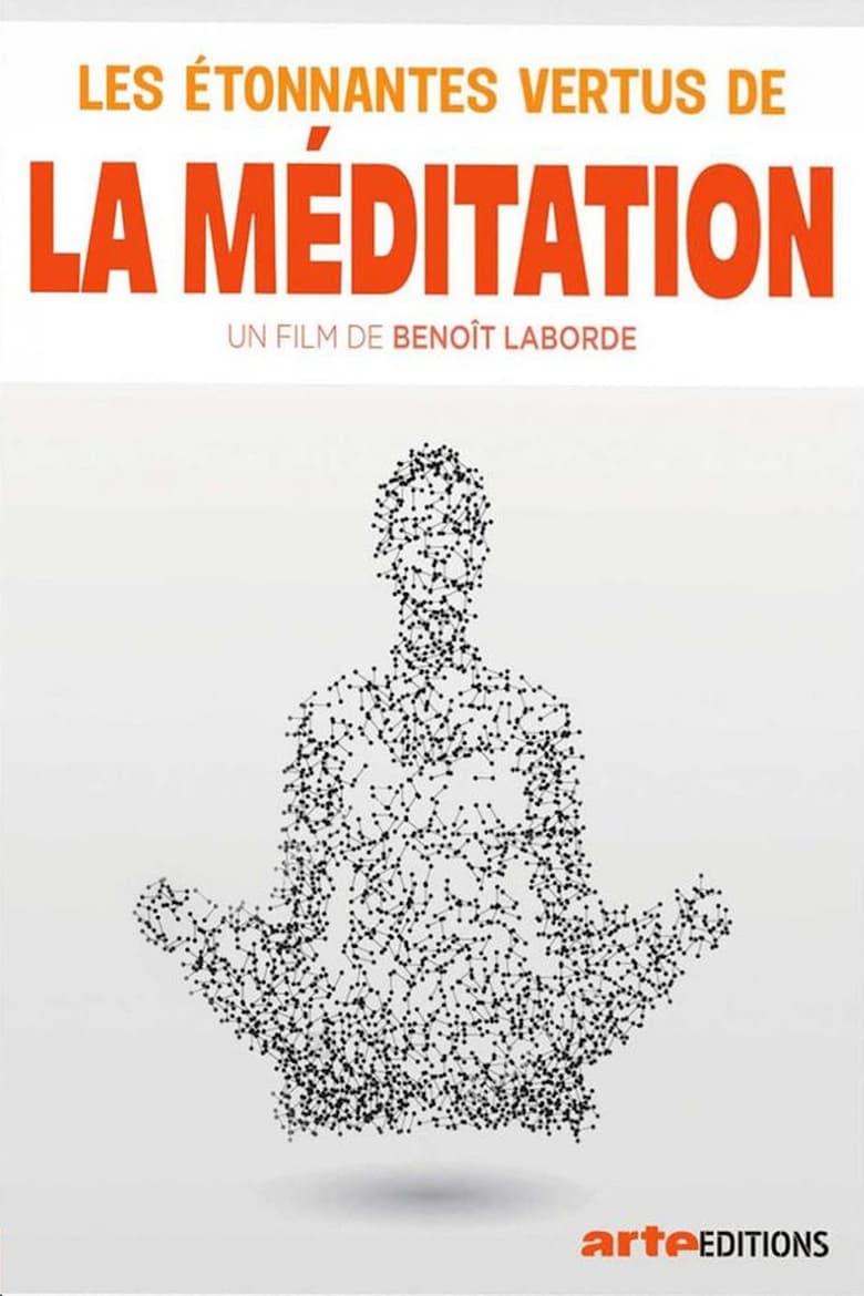 affiche du film Les étonnantes vertus de la méditation