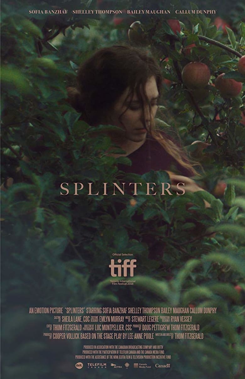 affiche du film Splinters