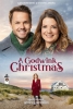 Noël, romance et coïncidences (A Godwink Christmas)
