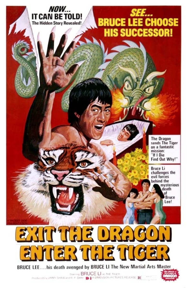 affiche du film Salut Bruce Lee, bonjour le tigre