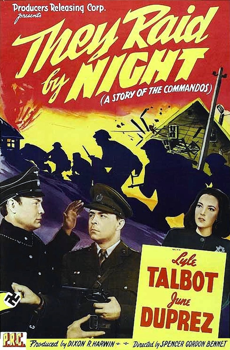 affiche du film They Raid by Night