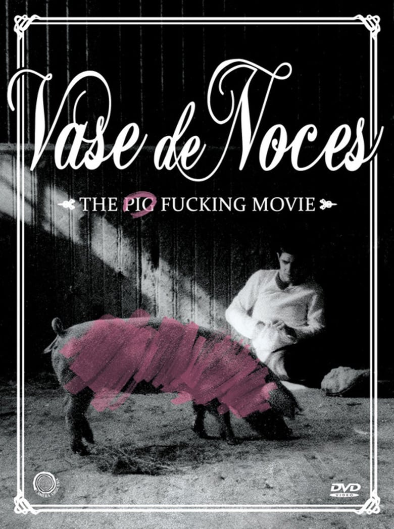 affiche du film Vase de Noces