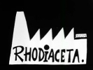 Rhodia 4x8