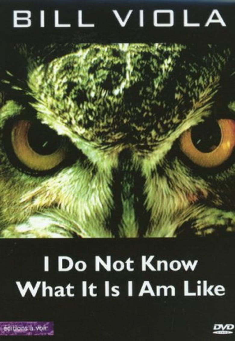 affiche du film I Do Not Know What It Is I Am Like