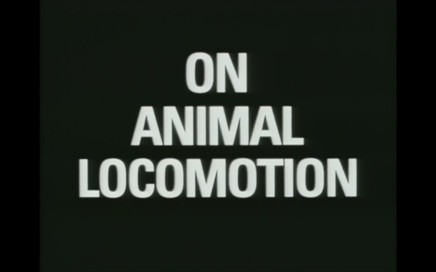 affiche du film On Animal Locomotion