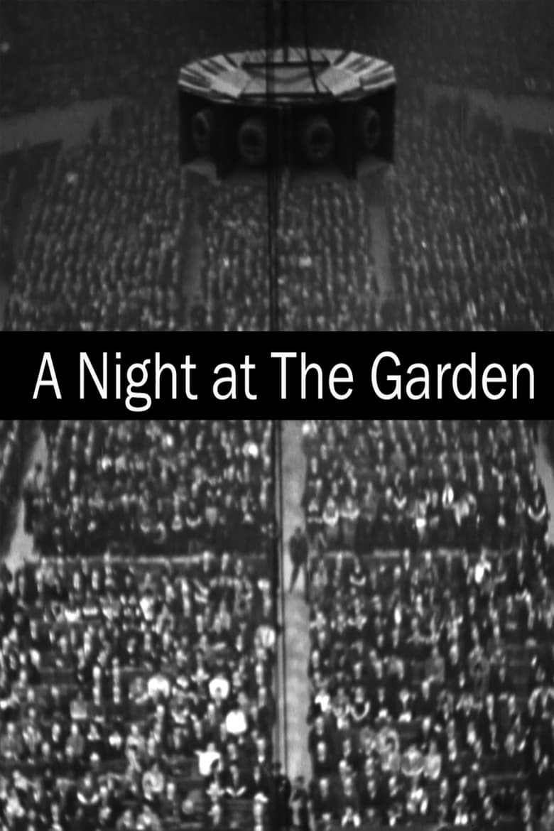 affiche du film A Night at The Garden