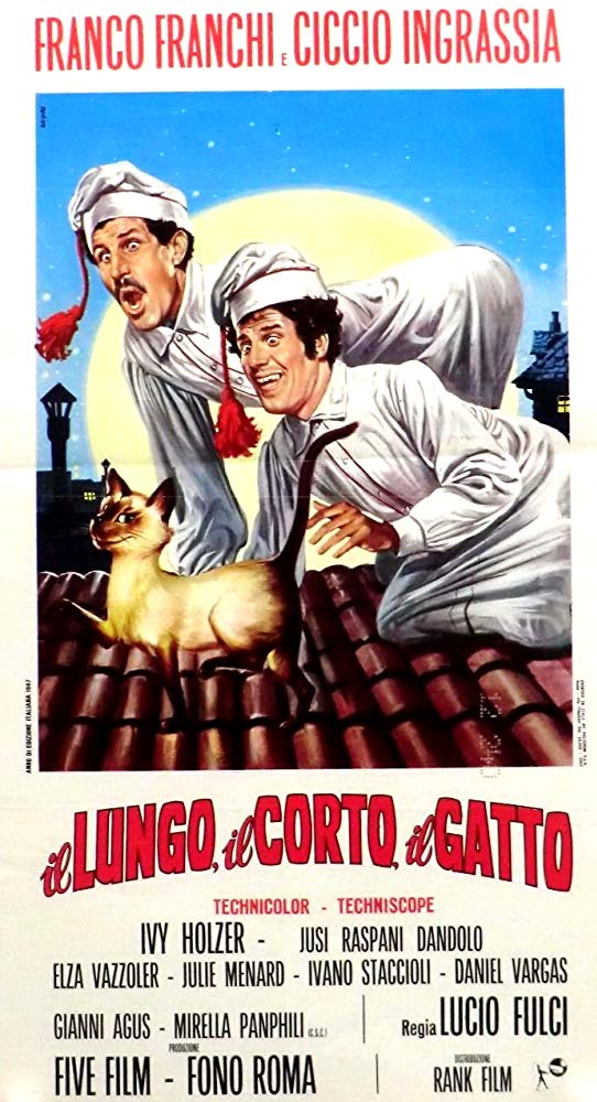 affiche du film Il lungo, il corto, il gatto