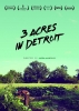 3 Acres in Detroit