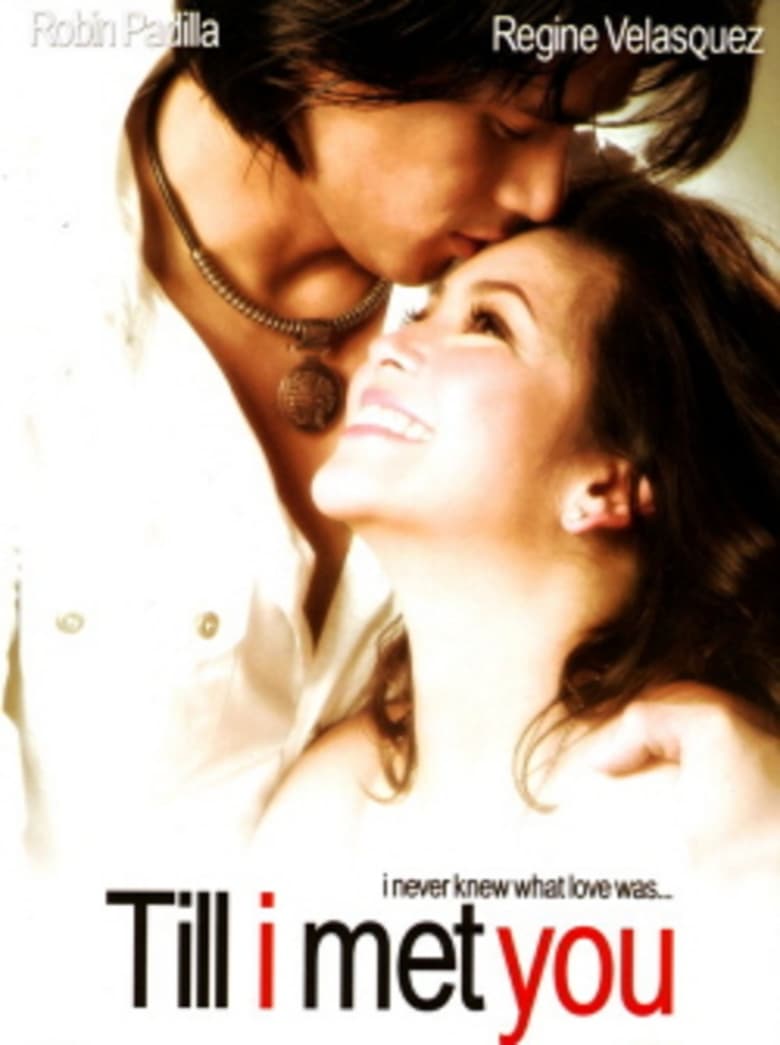 affiche du film Till I Met You