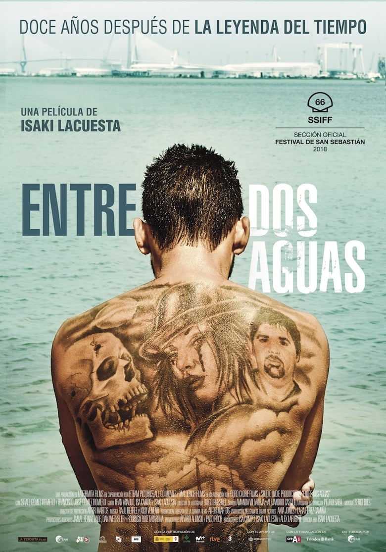 affiche du film Entre dos aguas