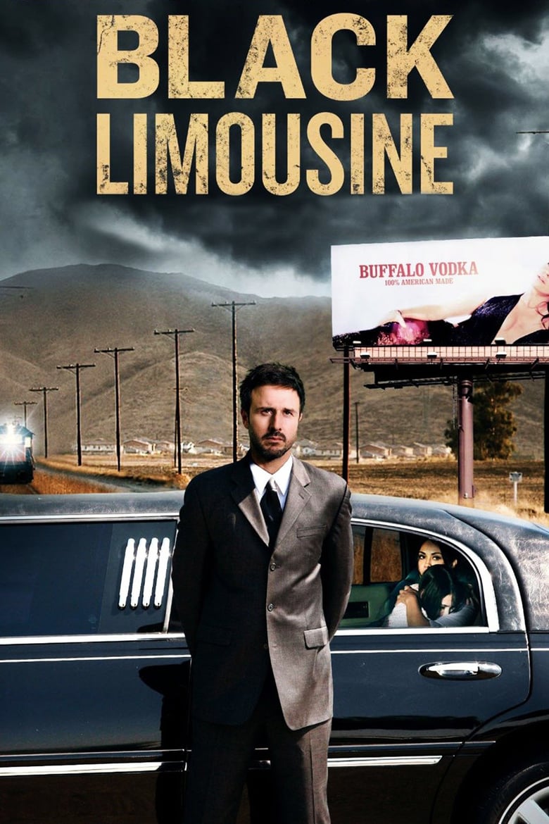 affiche du film Black Limousine