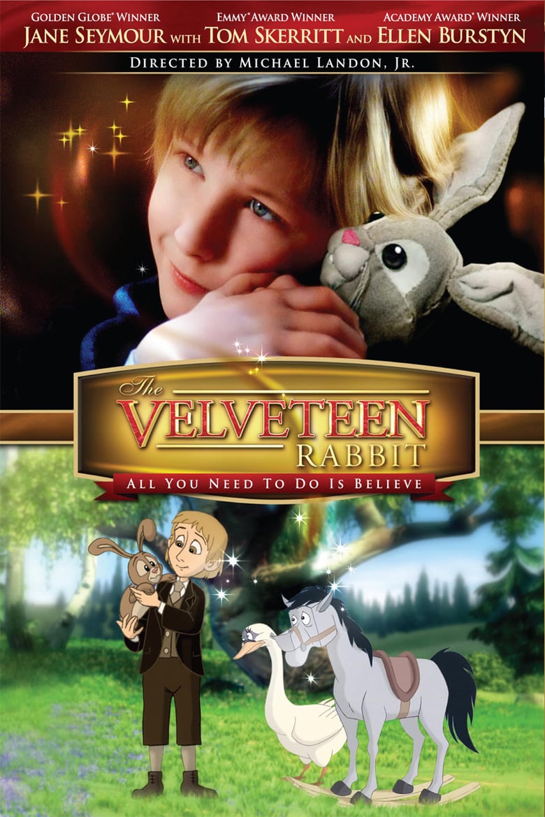 affiche du film Le lapin de velours