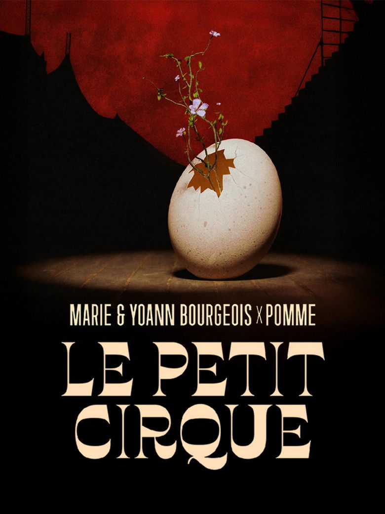 affiche du film Le Petit Cirque aux Nuits de Fourvière
