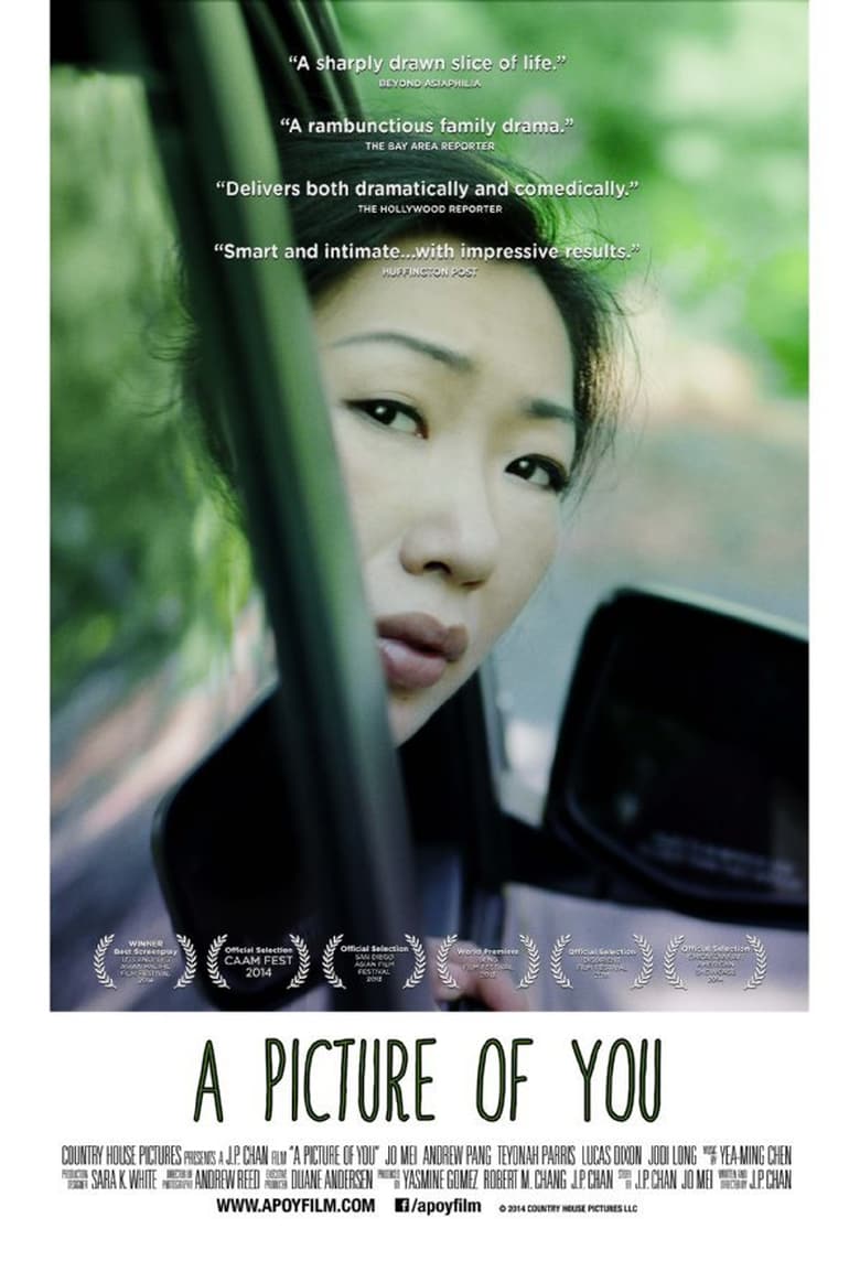 affiche du film A Picture of You