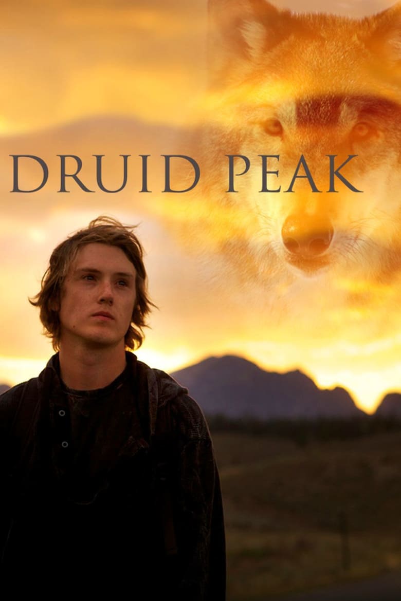 affiche du film Druid Peak