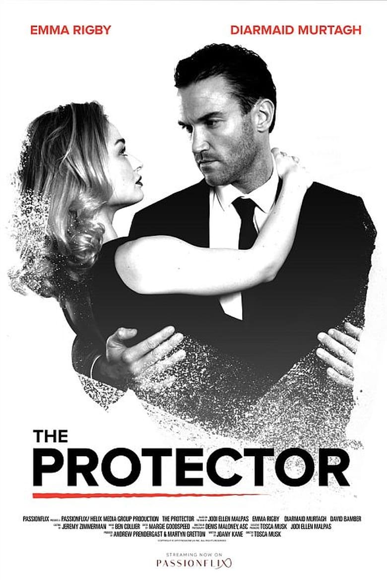 affiche du film The Protector