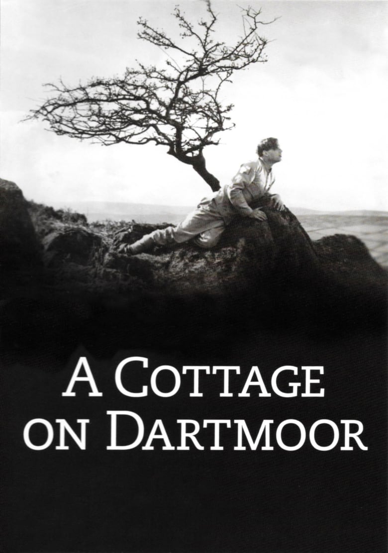 affiche du film Un cottage dans le Dartmoor
