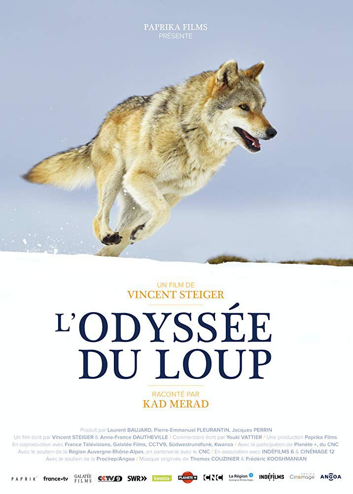 affiche du film L'Odyssée du Loup