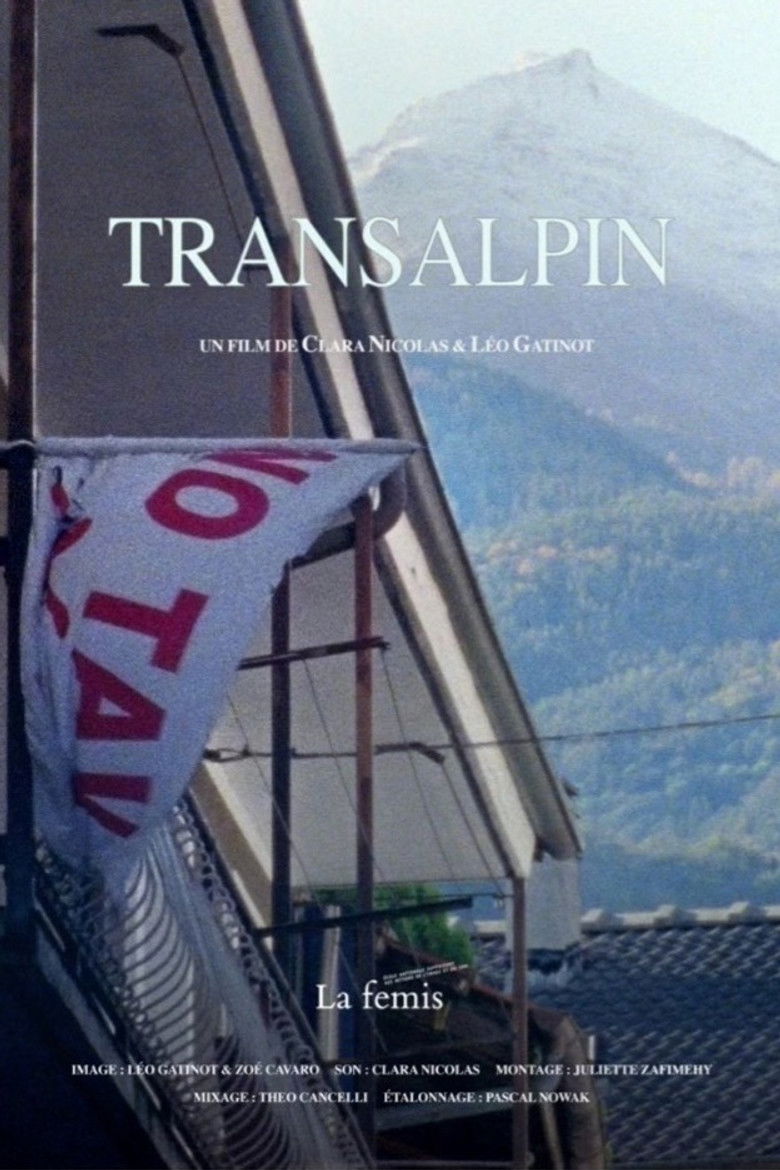 affiche du film Transalpin