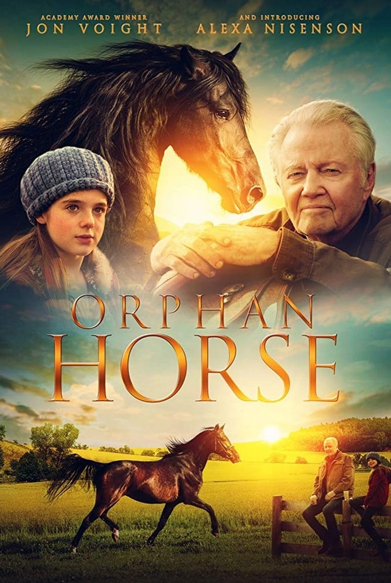 affiche du film Orphan Horse