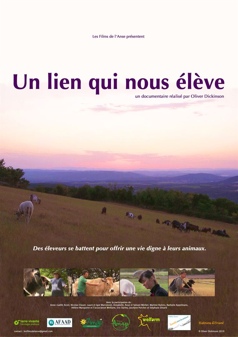 affiche du film Un lien qui nous élève