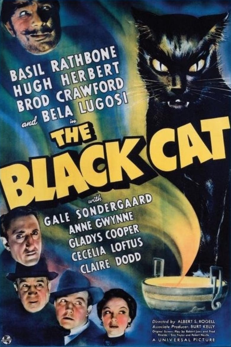 affiche du film The Black Cat
