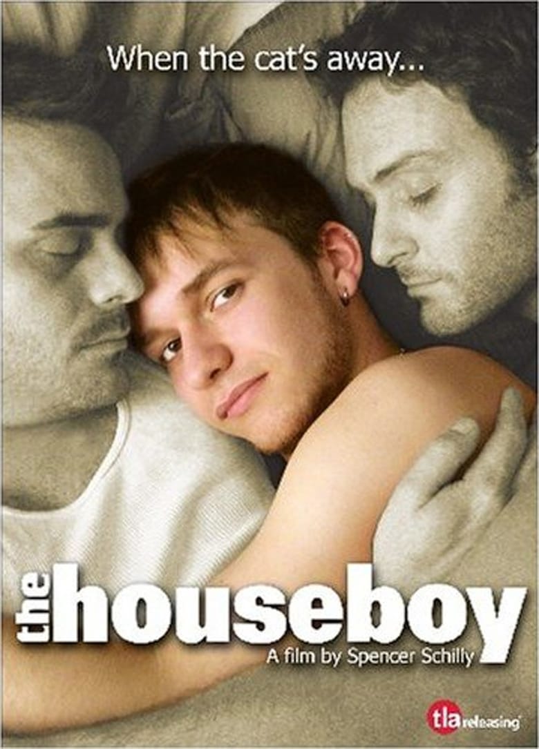 affiche du film The Houseboy