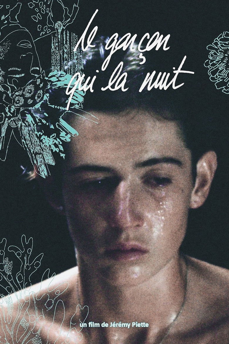 affiche du film Le garçon qui la nuit