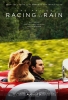 Dans les yeux d'Enzo (The Art of Racing in the Rain)