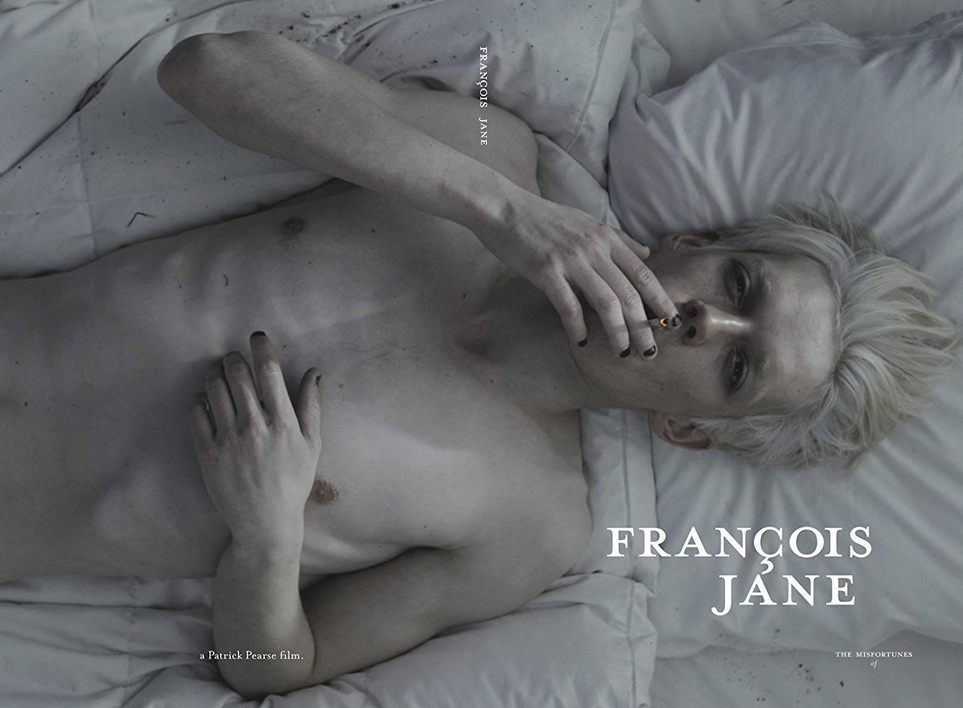 affiche du film The misfortunes of François Jane