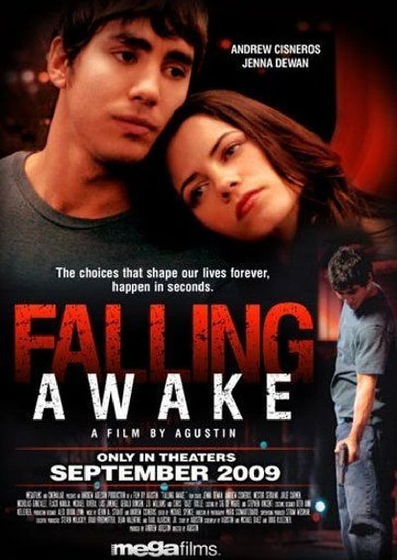 affiche du film Falling Awake
